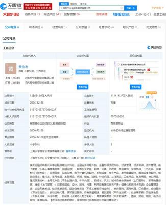 新華聯退出，之江新實業接盤 上海蘇寧金融更名背后的資本棋局