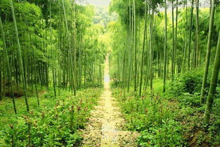 帶你邂逅湖南絕美景色,個(gè)個(gè)簡直美得像仙境