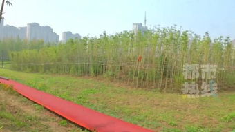 新地標(biāo) 西安城區(qū)最大公園國慶開園 規(guī)劃面積達(dá)1700畝
