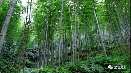 【開局十四五 奮進(jìn)新征程】里山街道:構(gòu)筑全域旅游大格局