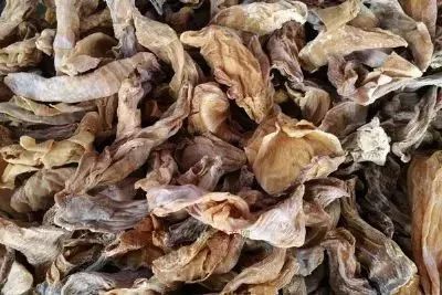 天津這個區(qū),未來將在全國出名 可它卻活生生的被名字給坑慘了