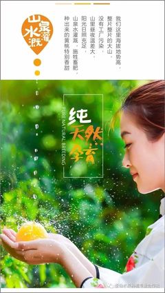 酥脆可口,回味無(wú)窮 攸縣的高山黃桃熟了