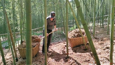 寧波日報社數字報刊平臺