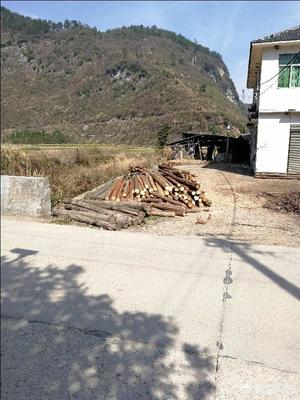 2018農(nóng)村5萬元成本小型加工廠項目(一個月收入2萬)